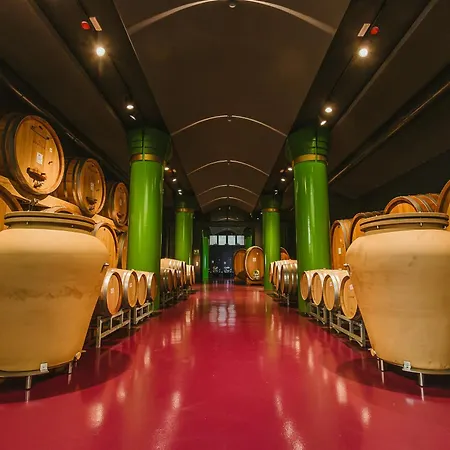 Garesio Wine * Serralunga d'Alba