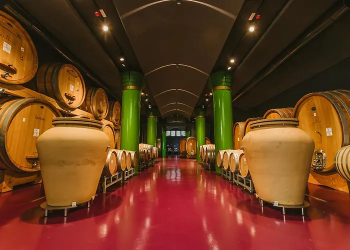 Garesio Wine * Serralunga d'Alba